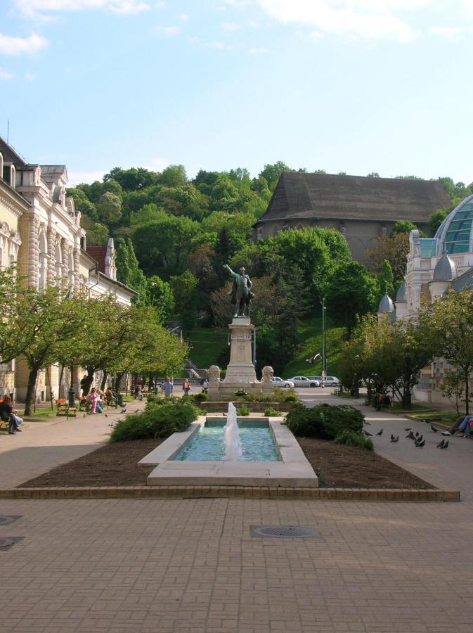 Balint Apartman - In The Heart Of Miskolc Bagian luar foto